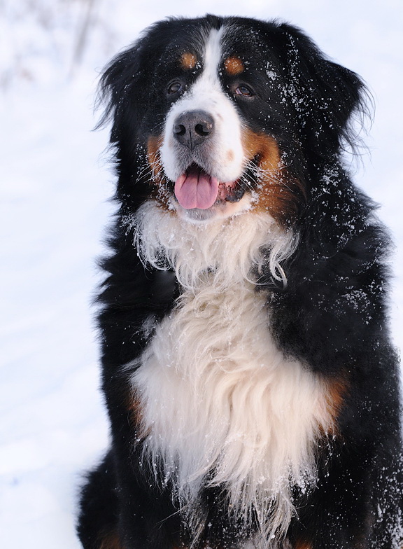 Anton Winter D33_1440 Kopie.jpg